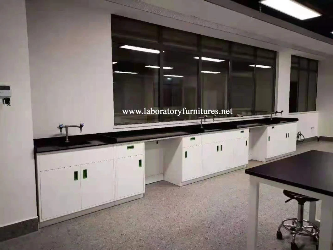 Steel Lab Furniture for Pharmaceutical/Food/Electronics/School/Institution/Industry Use