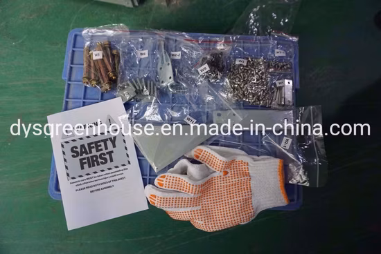 Dongyisheng Garden Shed Maker Galvanized Steel Pent Outdoor Shed (RDS301520-Z2)