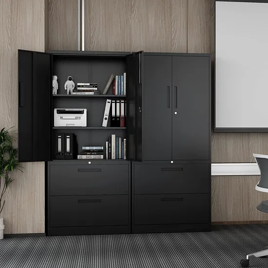 Metal File Cabinet with 2 Drawer, Lockable Vertical Lateral Filing Storage Cabinet, File Cabinet with Storage Cabinet