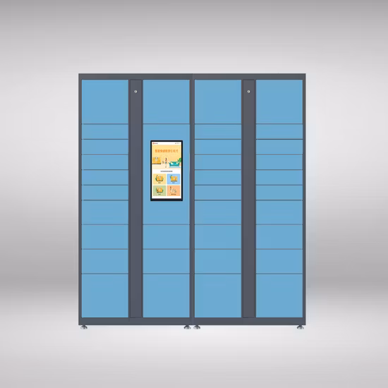Safe Intelligent Multiple Doors Electronic Delivery Parcel Locker