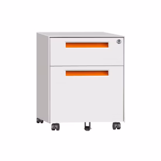 Modern Mobile Storage Cabinet Steel Storage Cabinet Filing Cabinet for Office School