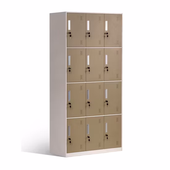 Brown Multiple 12 Doors Duty Bag Gear Locker for Airport Supermarket Cinema